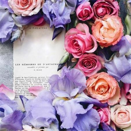 谍战剧隐形将军全集 大学电影观后感