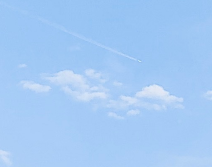 鲁滨逊漂流记的观后感 读后感500字《鲁滨逊漂流记》