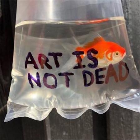 北京冬奥会滑冰观后感<a href=/xinqing/34512.html target=_blank class=infotextkey>范文</a>(通用18篇)