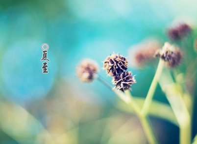 冬残奥会观后感(通用23篇) 残奥会冠军侯斌励志演讲观后感