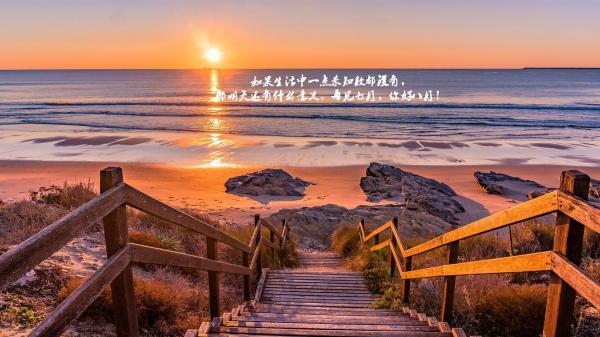 没有双臂也能展翅飞翔 大学电影观后感