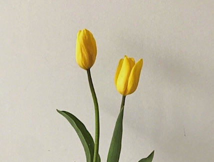 新时代好少年观后感(<a href=/baqi/34092.html target=_blank class=infotextkey>精选</a>13篇)