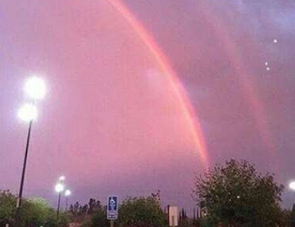 南极之恋观后感 南极之恋影评