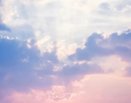 熊出没之雪岭熊风观后感 《熊出没之雪岭熊风》周末动画