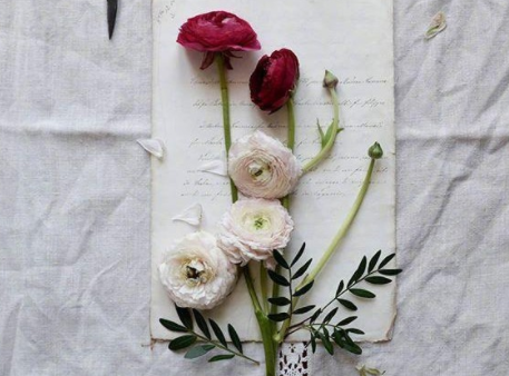 夏洛的网观后感(<a href=/baqi/34092.html target=_blank class=infotextkey>精选</a>16篇) 大学电影观后感