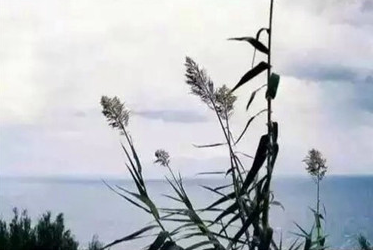 我和我的父辈观后感(<a href=/baqi/34092.html target=_blank class=infotextkey>精选</a>26篇)