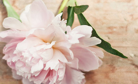 小学生观看长津湖之水门桥观后感(<a href=/baqi/34092.html target=_blank class=infotextkey>精选</a>41篇)