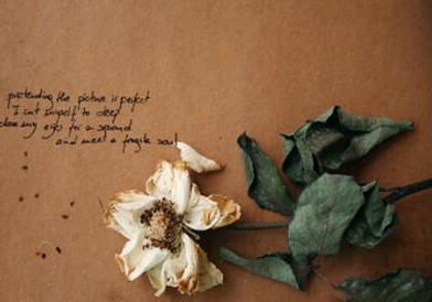 我和我的父辈观后感3篇