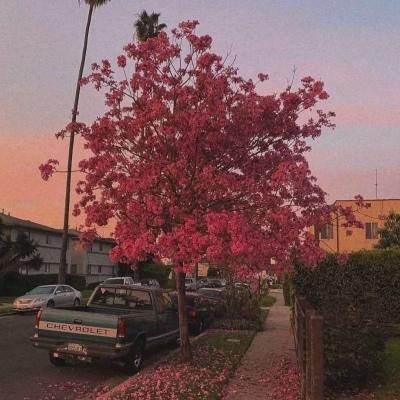 看<a href=/lizhi/34310.html target=_blank class=infotextkey>如果</a>国宝会说话有感 文物会说话