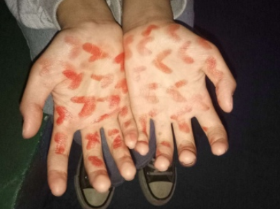 观杨丽萍孔雀舞有感的作文