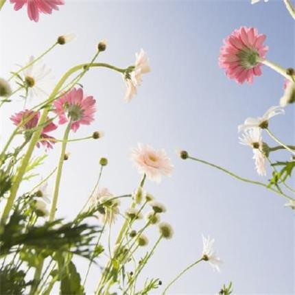 CCTV开学第一课的观后感