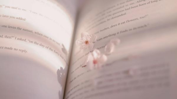 综合电视台开学第一课观后感