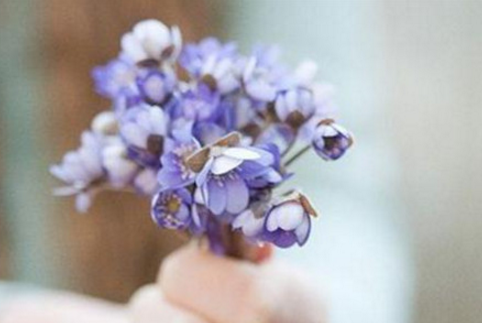 2022年开学健康安全第一课观后感