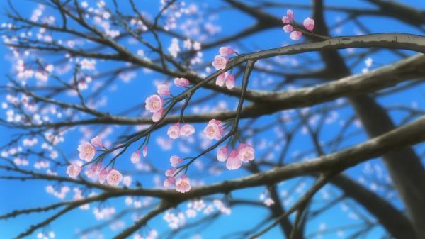 观图有感六年级作文