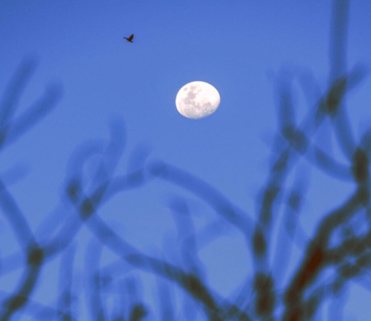央视CCTV《开学第一课》观后感