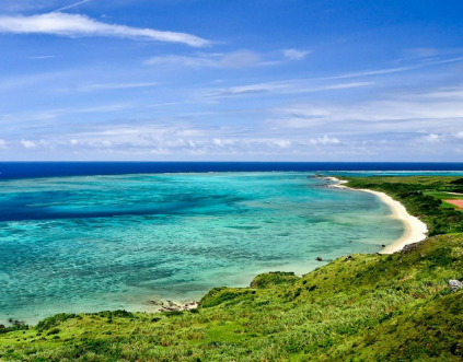 网上祭英烈最新观后感