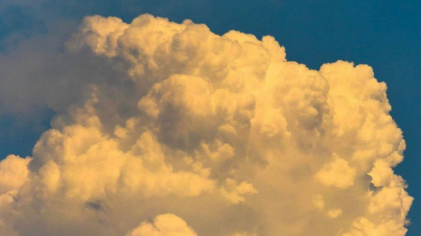 小学生《夺冠》电影观后感500字