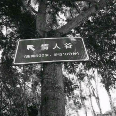 电影《成长教育》观后感