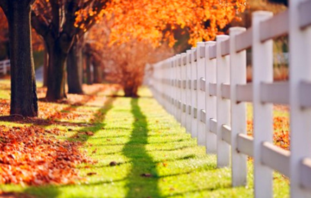 《幸福迷途》观后感