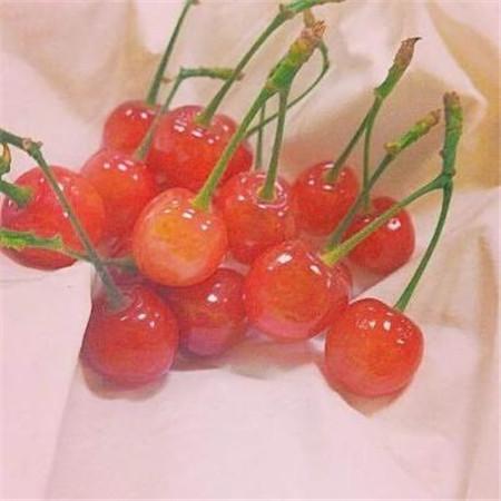 奇迹男孩观后感