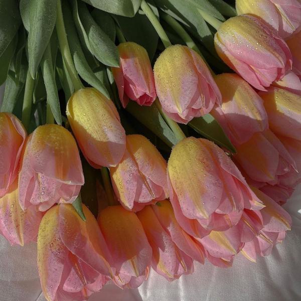 我和我的父辈的观后感