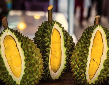 我和我的父辈最新观后感