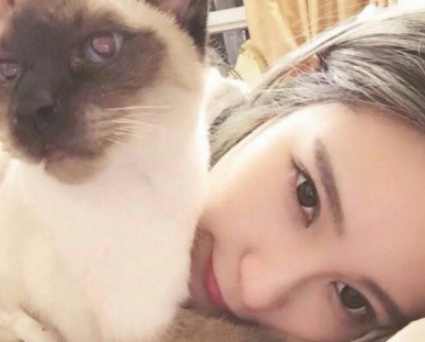 姜子牙观后感作文500字