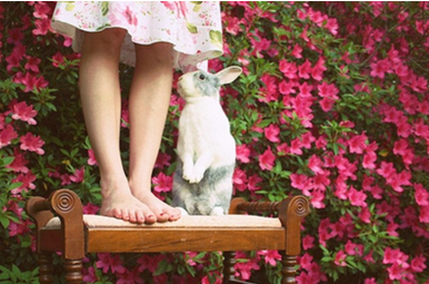 开学第一课观后感怎么写