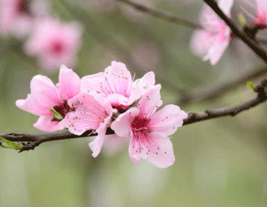 全民国家安全教育公开课观后感