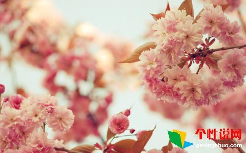 电影《隐形的翅膀》观后感800字