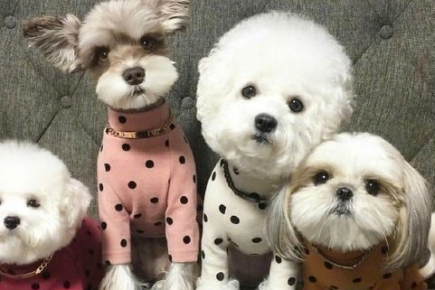 《唐山大地震》观后感700字