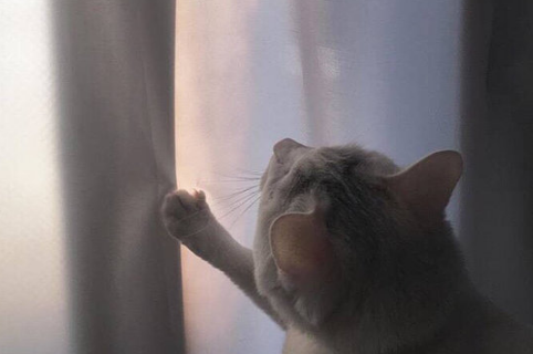 《少年派的奇幻漂流》电影的观后感