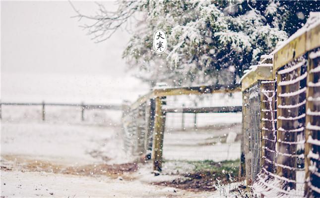 《亲爱的》观后感
