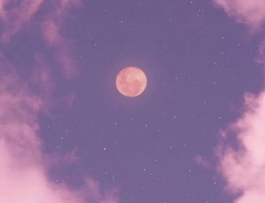 高一放牛班的春天观后感