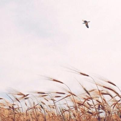 最新北京冬奥会直播观后感