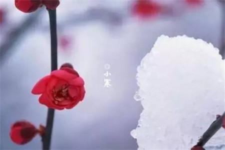 <a href=/shanggan/34317.html target=_blank class=infotextkey>我们</a>的冬奥优秀观后感