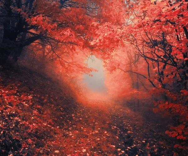 大年初一《长津湖之水门桥》优秀电影观后感