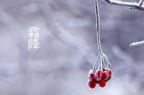 电影《我和我的父辈》小学生观后感