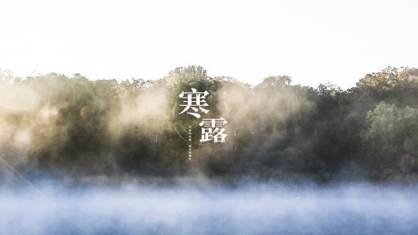 《战马》观后感 电影战马的观后感