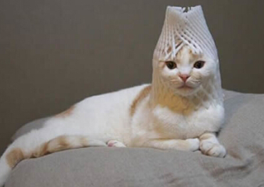 防溺水视频的观后感