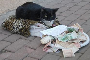 《扬名立万》学生观后感