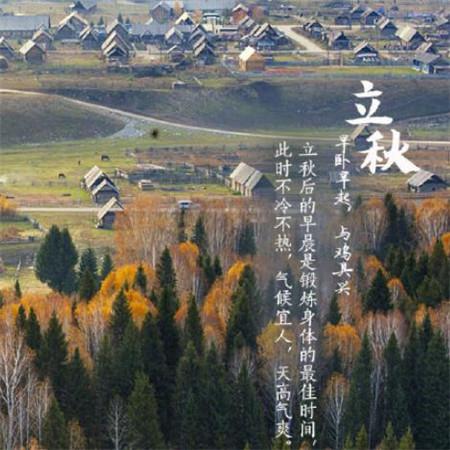 《迁徒的鸟》观后感