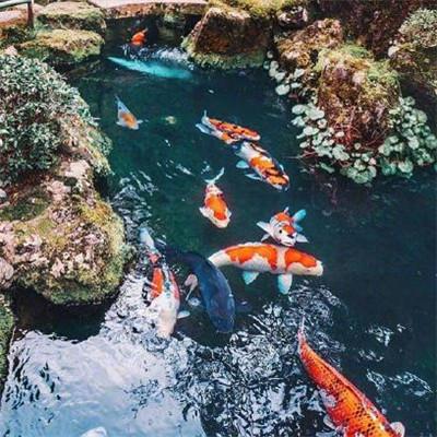 《广东开学第一课》完整版视频观后感