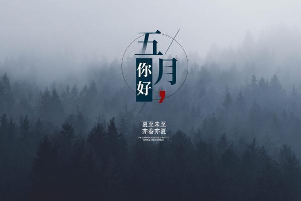 观看冬奥会开幕式六年级观后感