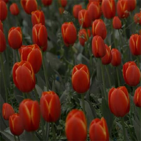 新时代好少年先进事迹的观后感