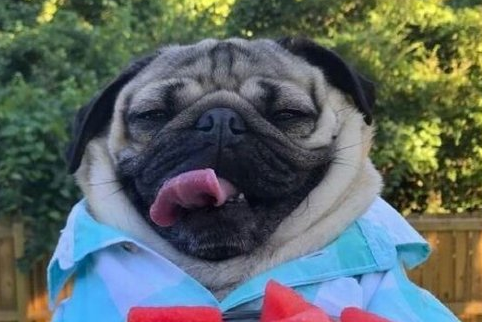 航拍<a href=/shanggan/34742.html target=_blank class=infotextkey>中国</a>陕西观后感