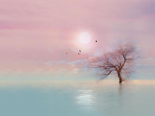 秋季《公共安全教育开学第一课》观后感