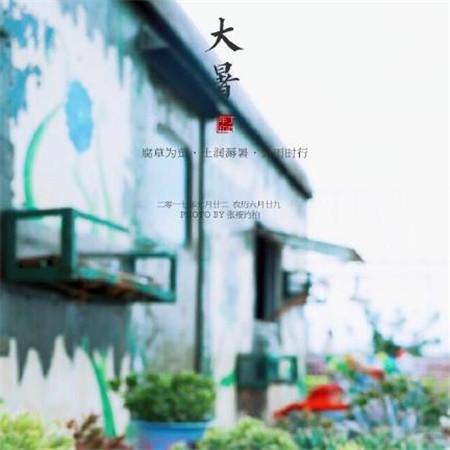 《熊出没之伴我熊芯》-观后感作文