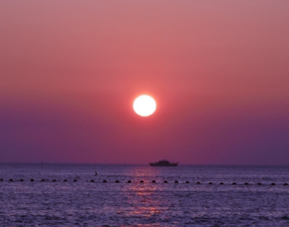 迷途的羔羊观后感