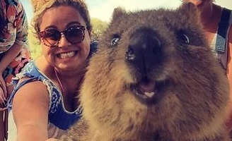 雷锋的故事观后感